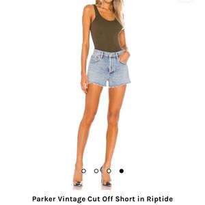 Agolde Parker Vintage Shorts in Riptide